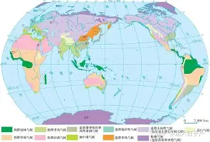 德约科维奇来袭!换人、点球悬念揭晓(德约科维奇介绍)|GFG棋牌